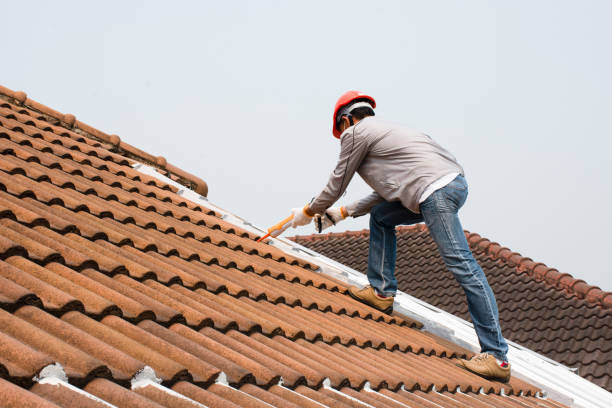 Professional Roofing services in Roan Mountain, TN